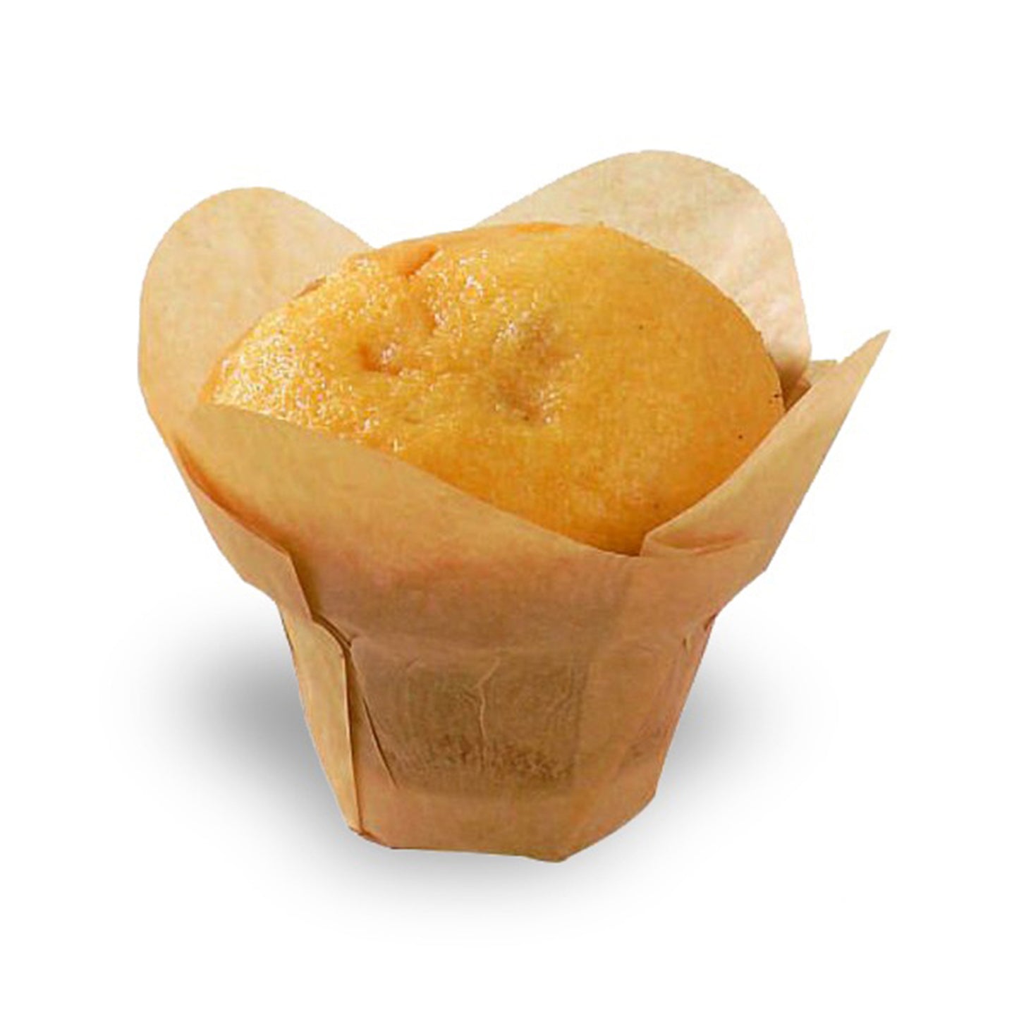Lotus Golden Brown Silicone Baking Cup