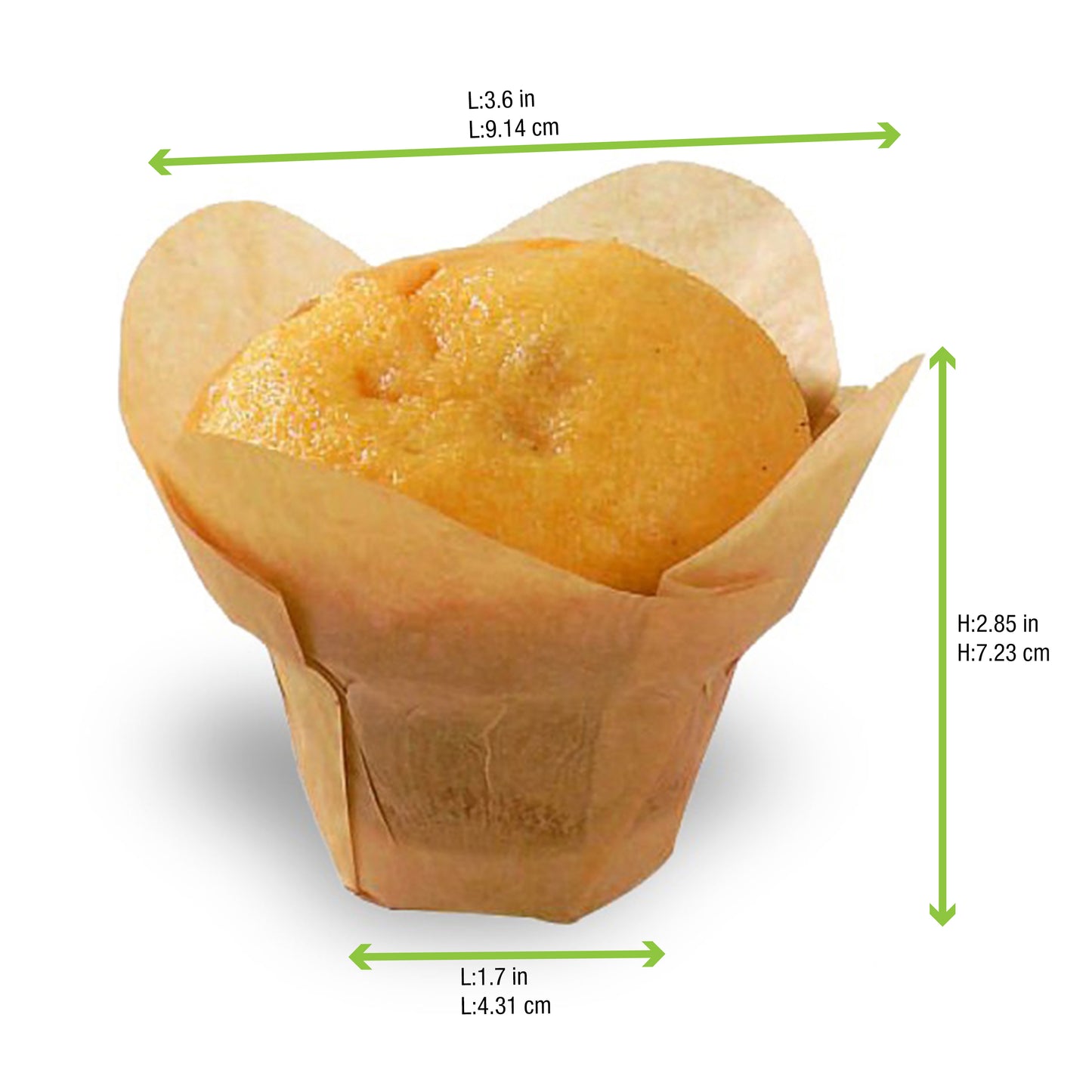Lotus Golden Brown Silicone Baking Cup