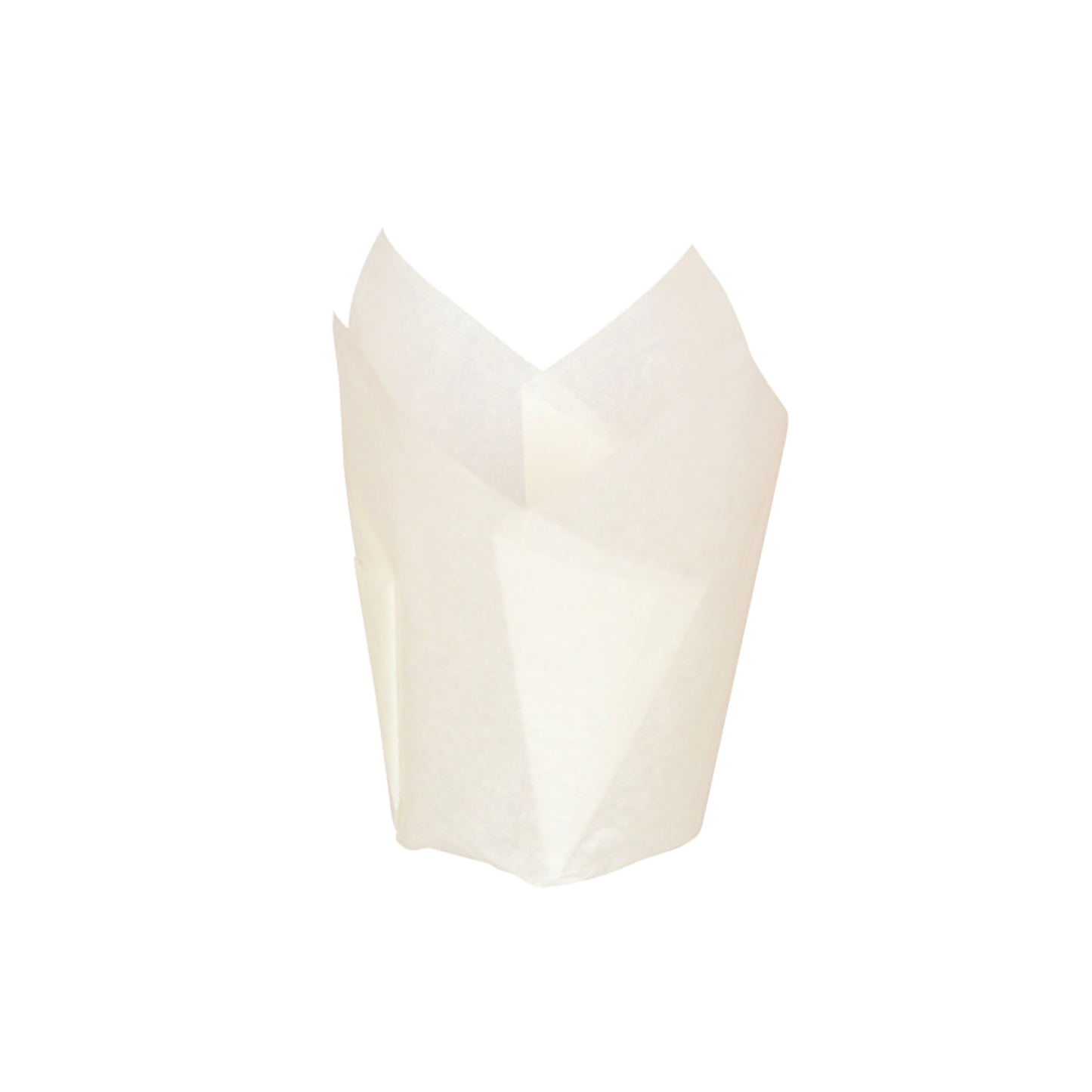 Tulip White Silicone Baking Cup