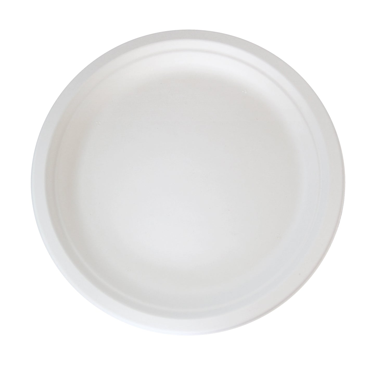 Round White Sugarcane Plate