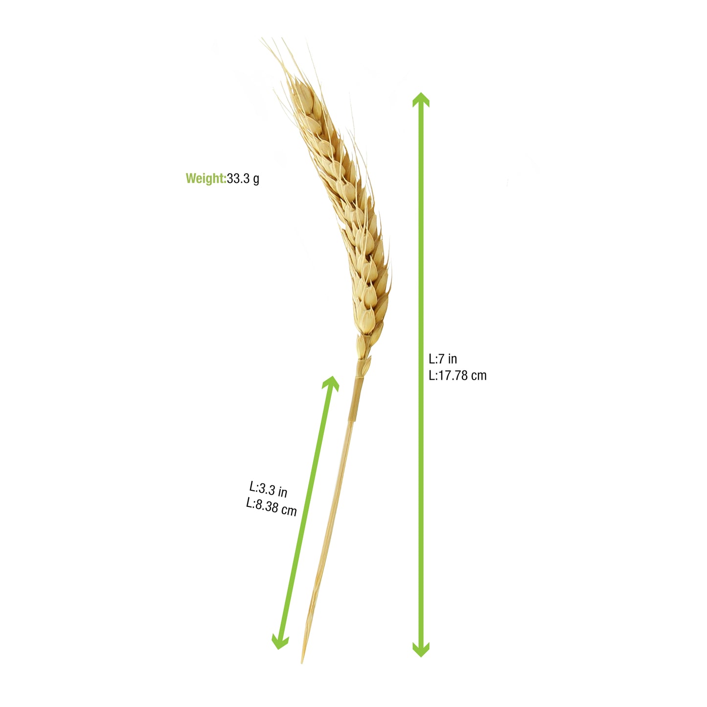 Bamboo Wheat Skewers