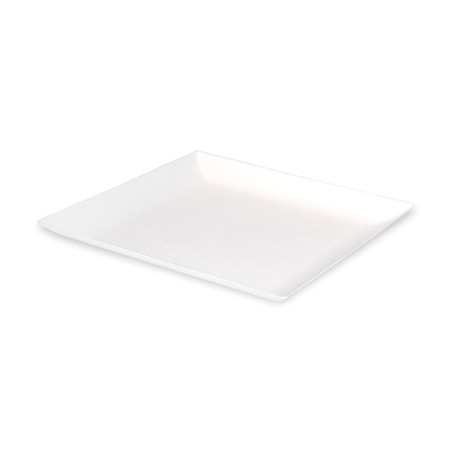 Bio n Chic White Sugarcane Plate