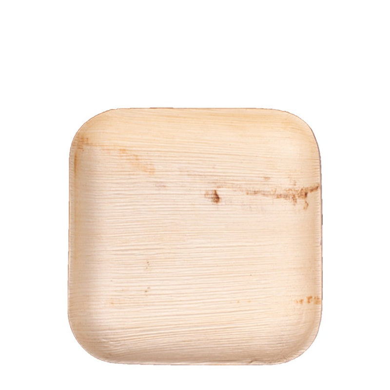 Square Plate 100/Case