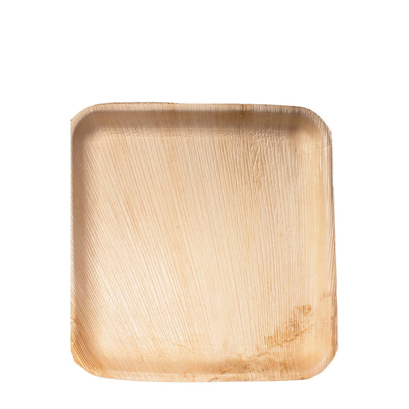 Square Plate 300/Case