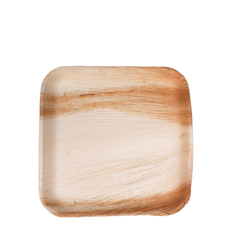 Square Plate 300/Case