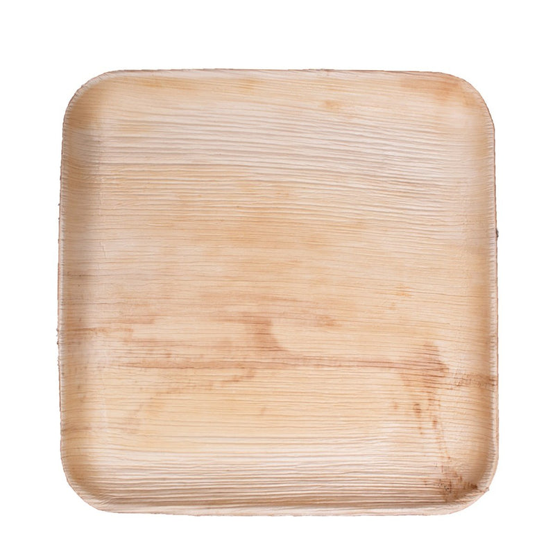 Square Plate 300/Case