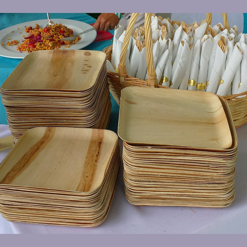 Square Plate 100/Case