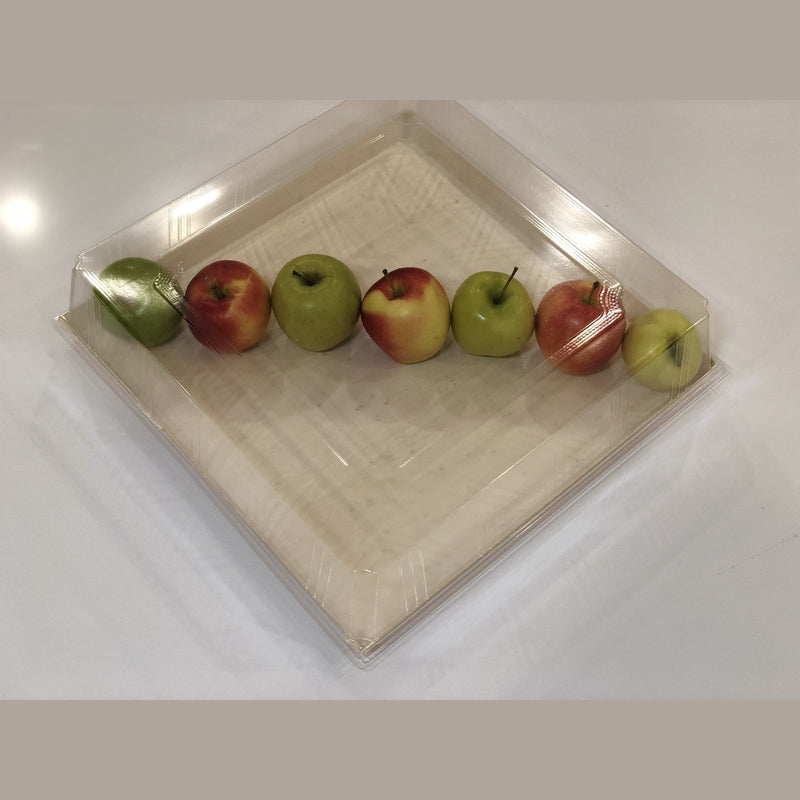 Clear Cover for TG-TR-16X16