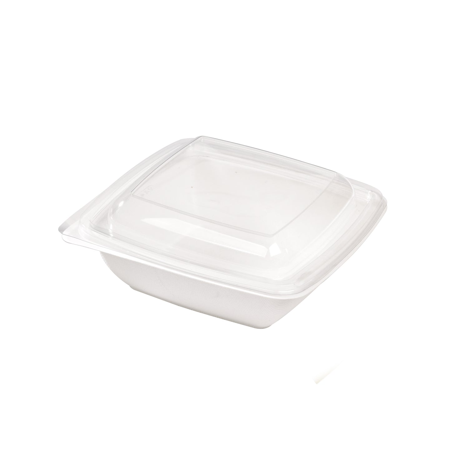 Square White Sugarcane Salad Bowl