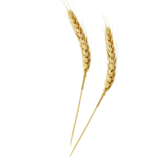 Bamboo Wheat Skewers