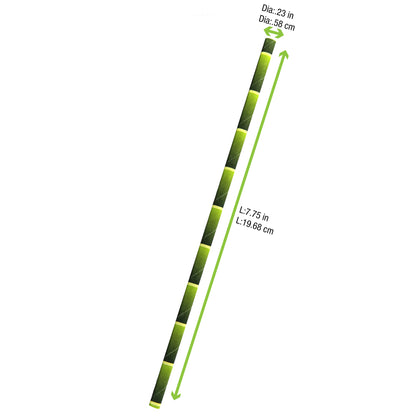 Durable Design Paper Straws - Unwrapped